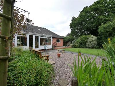 Picture 25
